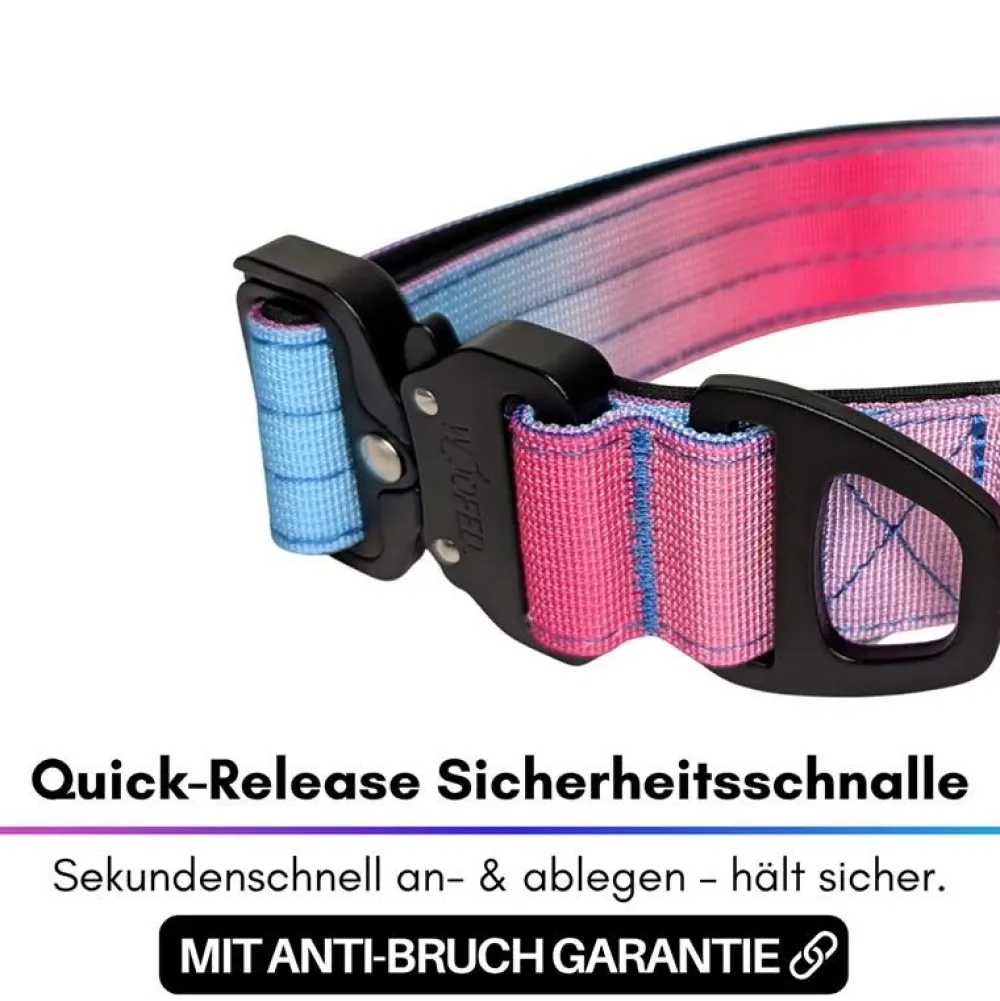 Halsbänder, Leinen & Geschirre>Futterfreund Woofed Nylon Tactical, Halsband, Griff, pink blue sky